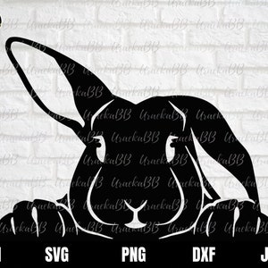 Peeking Rabbit Svg, Rabbit Svg, Bunny Svg, Rabbit Funny Svg, Car Rabbit Svg, Sticker Bunny Svg, Cute Rabbit Svg for Cricut and Cut File