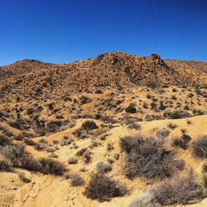 JOSHUA TREE NATIONAL Park - California - Cottonwood Spring - Desert - Landscape - Photography - Fine Art - Wall Art - Wall Decor
