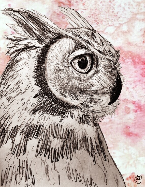 Great Horned Owl Sketch with Watercolor 8x11 Print - Etsy