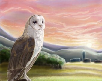 Barn Owl Print 11x17