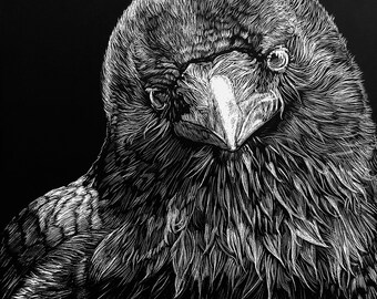 Raven Print 8x11