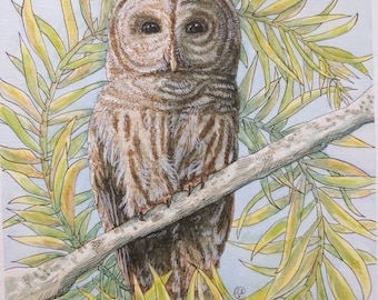 Barred Owl Mucha Print 8x11