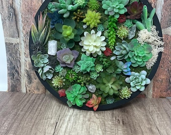 Artificial Succulent Wall Art: 12" Round Succulent Decor