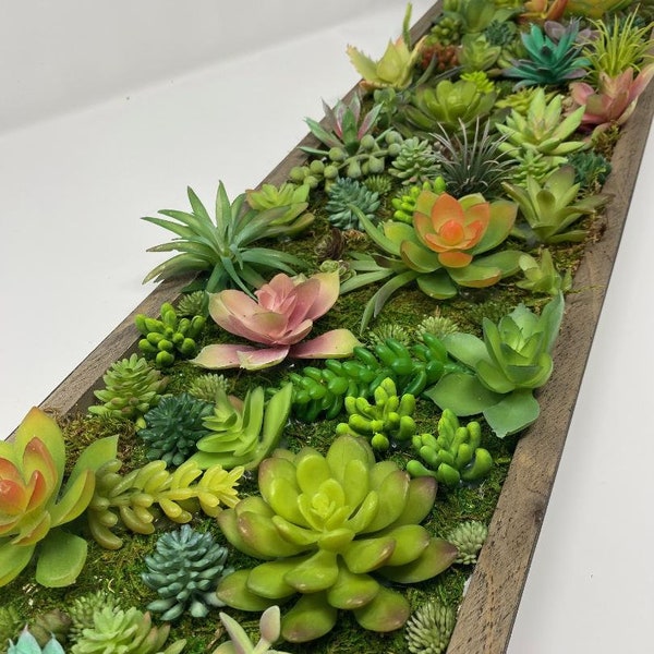 Succulent Wall Display: Lifelike Botanical Oasis | Ready-to-Hang Art | Nature-inspired Home Decor | Eco-Friendly | Unique Wall Accent