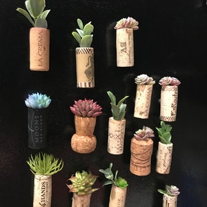 Succulent Wine Cork Magnets - Set of 3 Handcrafted Magnets - Upcycled Wine Lover Decor - Unique Eco-Friendly Kitchen Accessory
