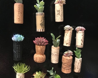 Imanes de corcho de vino suculentos - Juego de 3 imanes hechos a mano - Decoración para amantes del vino reciclado - Accesorio de cocina ecológico único