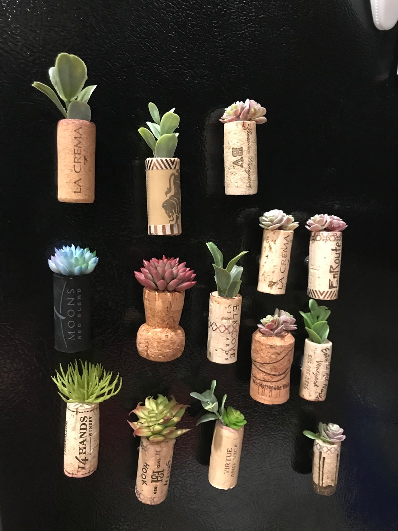 Wine Corks Set of 3 Succulent Air Plant Etsy