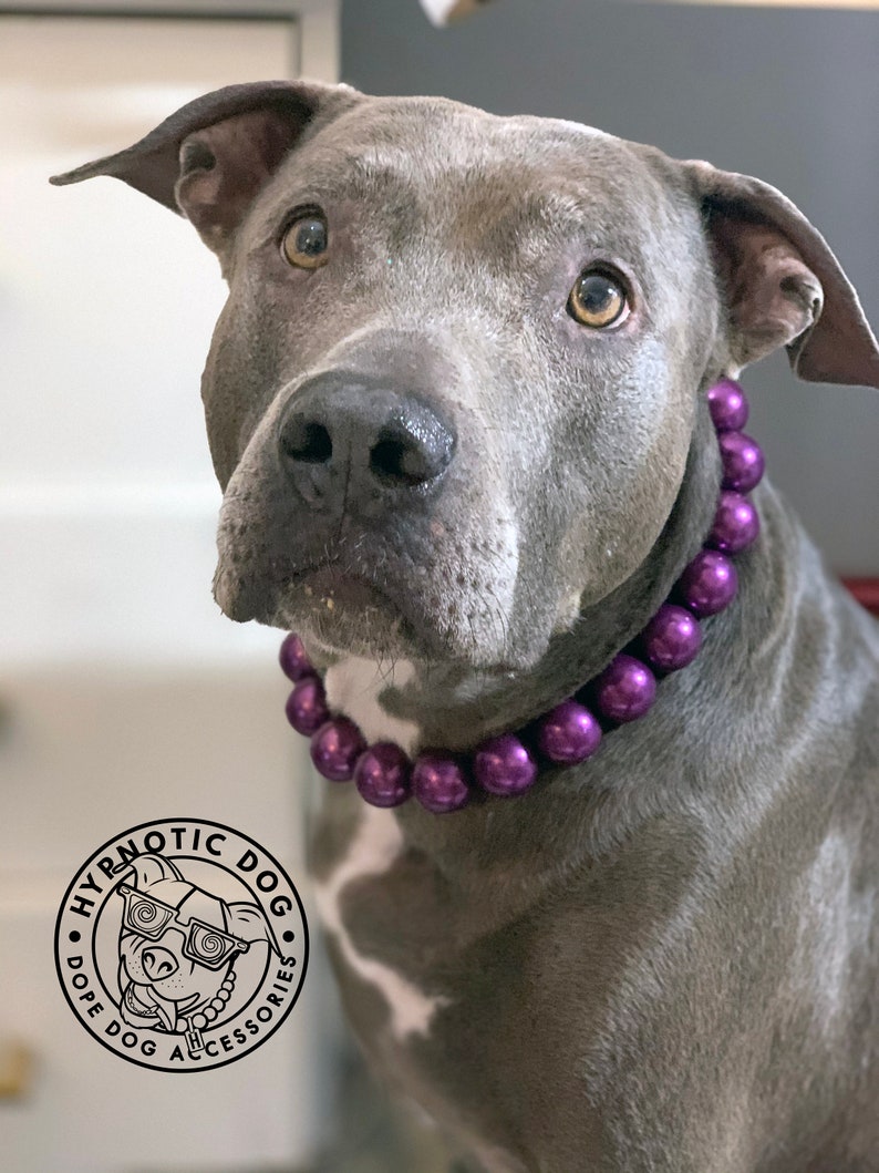 fancy dog pearls Chunky Purple Pearl 