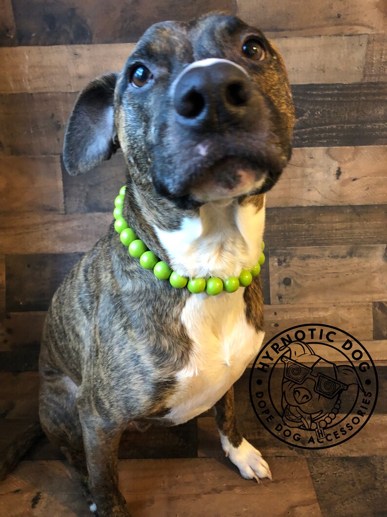 unbreakable boho unique custom Green Apple WOODEN durable Dog Collar bright large bead slip on collar necklace lime beaded