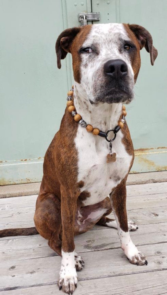 Boneyard WOODEN Durable Dog Collar Custom Unique Boy Dog Collar Gray Skull Silver Beads Slip on Necklace Etsy Denmark