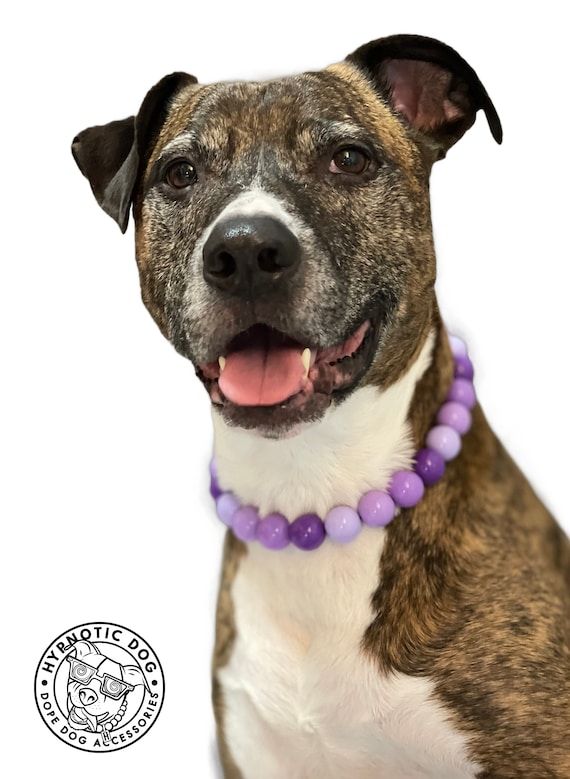 Large pearl dog collar online
