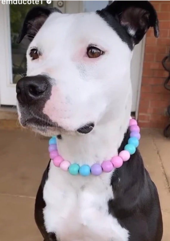 Pastels & Skulls Large Bead Dog Collar