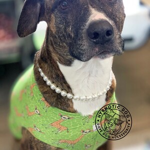 May include: A brindle dog wearing a white pearl necklace and a green sleeveless shirt featuring a repeating giraffe pattern. A circular black logo with the text HYPNOTIC DOG DOPE DOG ACCESSORIES and a dog illustration is visible on the shirt.