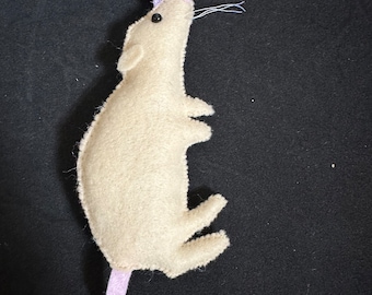 Bramble- Siamese Rat- Cream rat- Bramble the rat