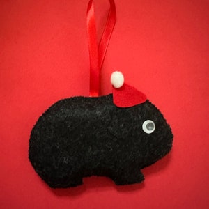 Christmas Guinea pigs black