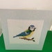 see more listings in the Animal Cards section