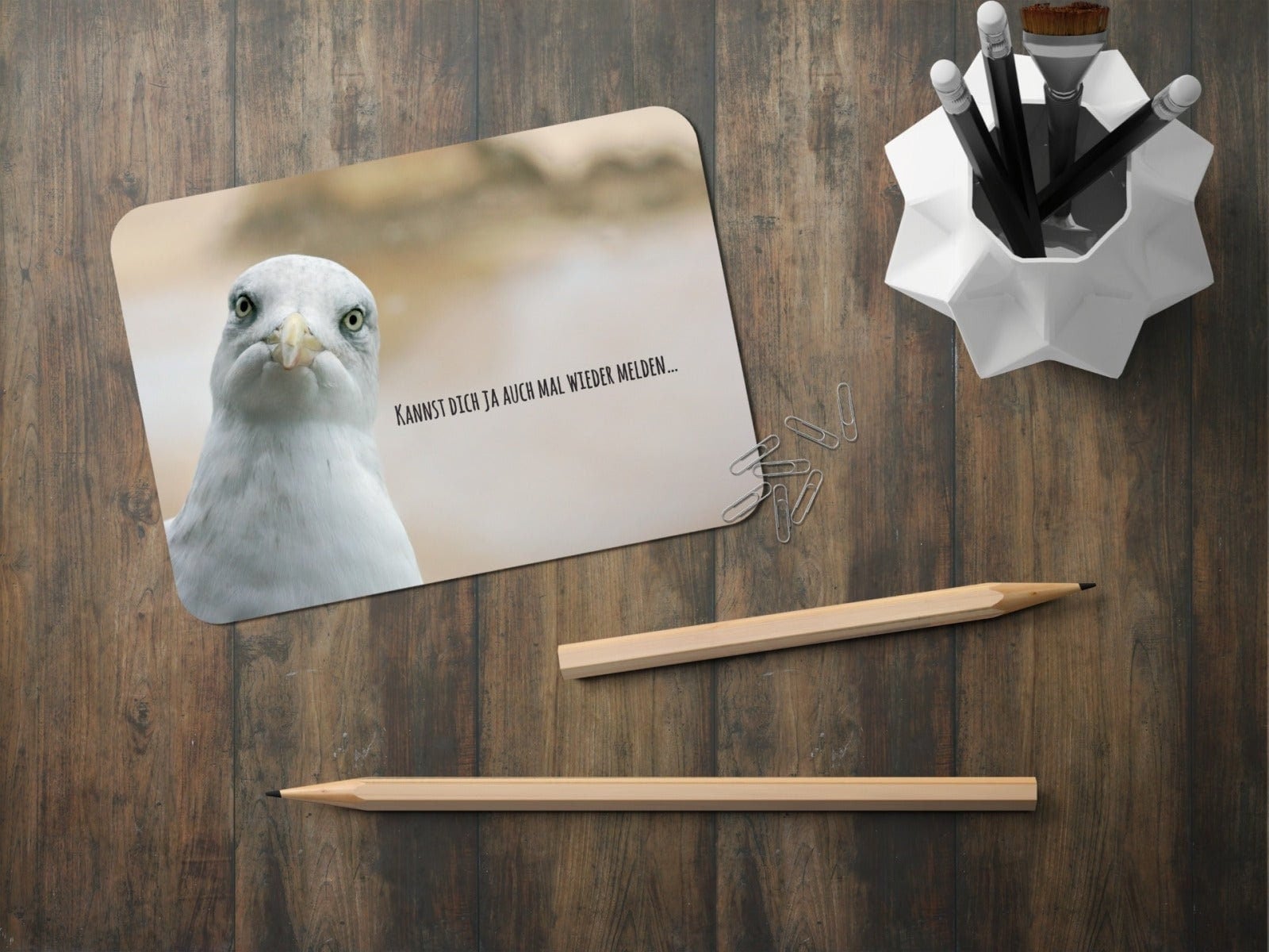 Witzige Postkarte Möwen Karte Lustiger Spruch Sprüche Etsy