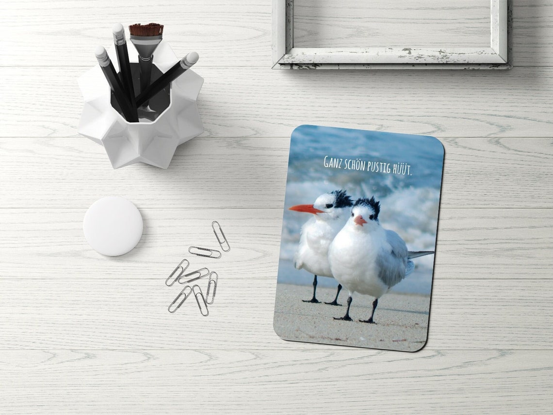 Witzige TierPostkarte Postkarte Möwen Lustiger Spruch Sprüche Etsy