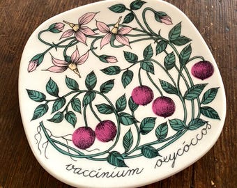 その他 Arabia Botanica 41 Vaccinium oxycoccos ARABIA Botanica Vaccinium Oxycoccos Wall Plate 12.1cm Esteri