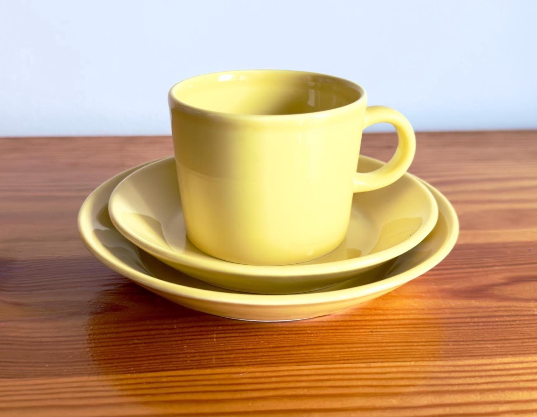 Arabia Finland Teema Coffee Cup With Saucer and Dessert Plate 3