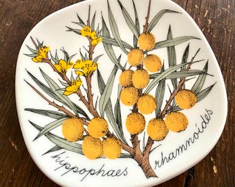 Arabia Finland Botanica Wall Plate Seaberry (Tyrni) Ippophaes Rhamnoides Vintage Collectible Ceramics by Esteri Tomula Finland