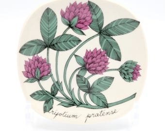 Arabia Finland Botanica Wall Plate Red Clover Trifolium Pratense (Puna-apila) Vintage Collectible Ceramics by Esteri Tomula Finland
