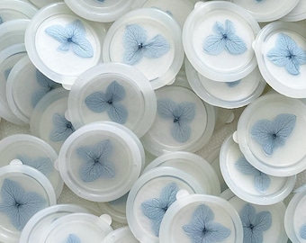 Baby blue/ light blue vellum hydrangea wax seals