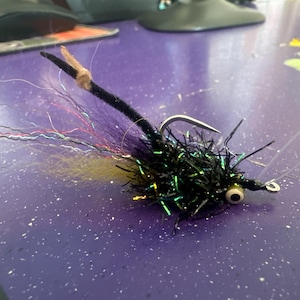 May include: A black and iridescent fly fishing lure with a silver hook. The lure has a black body with colorful accents and a small eye. The fly is designed to mimic an insect and attract fish.