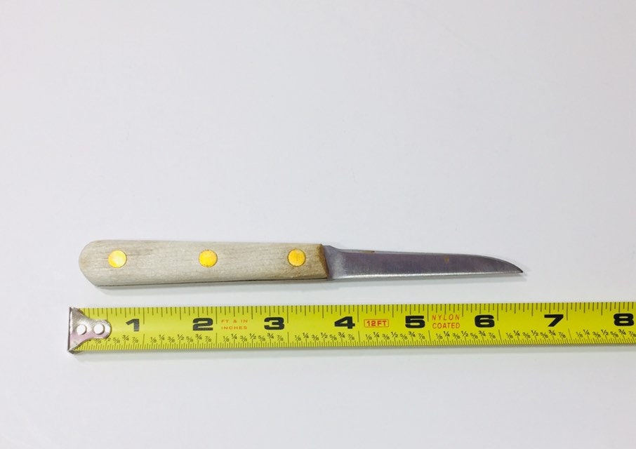 Chicago Cutlery Steak/ Paring Knife Set Chicago Cutlery Etsy