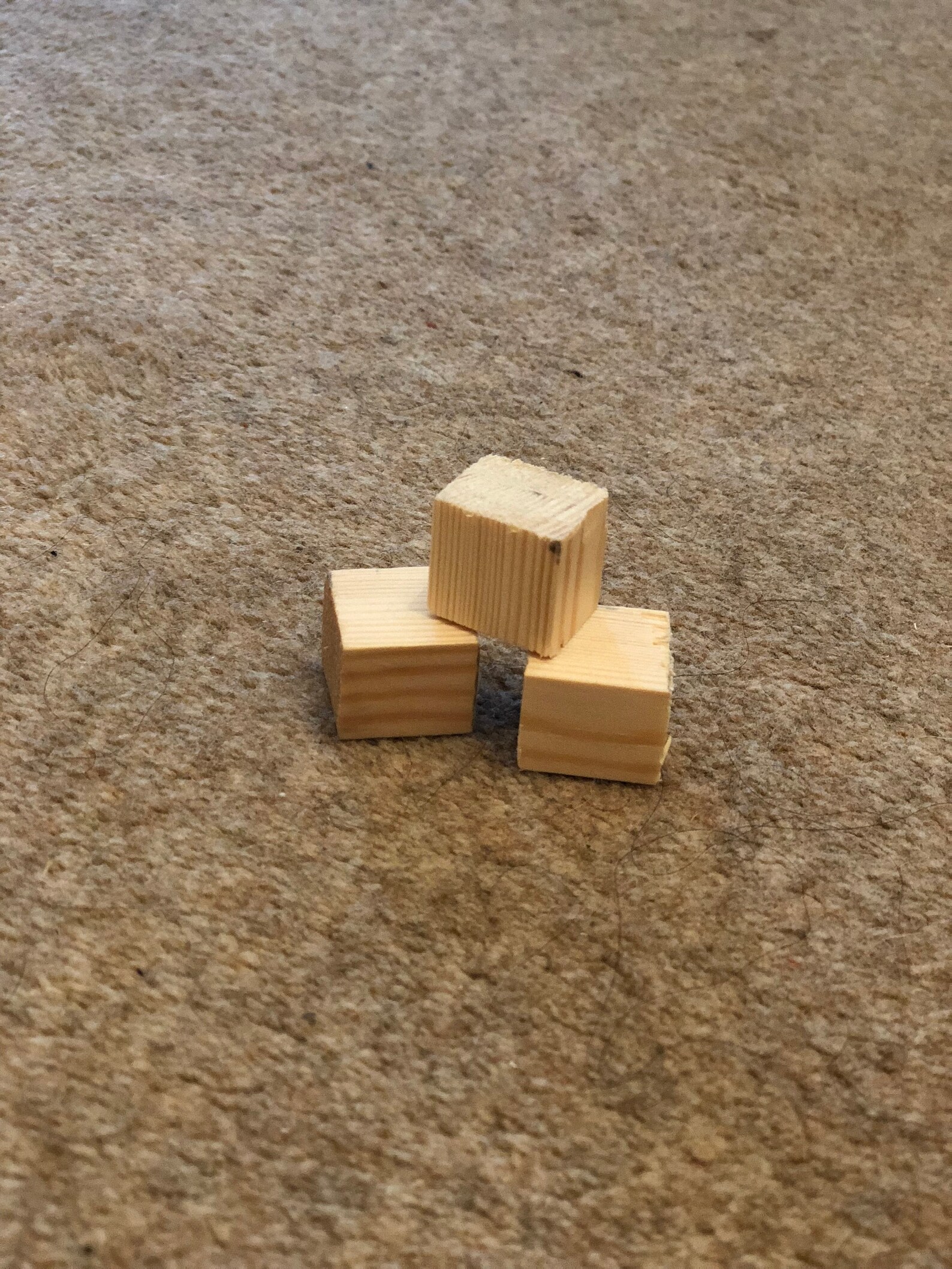 Rabbit Toy Natural Wood Chew Blocks Etsy