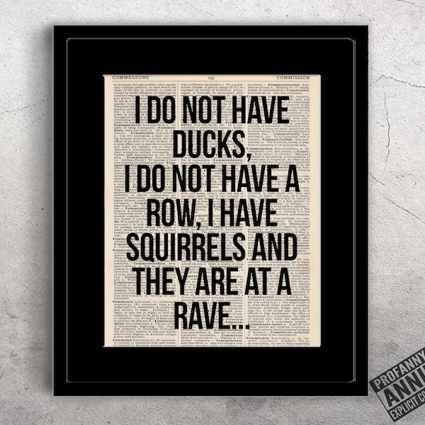 I do not have ducks I do not have a row I have squirrels and they're at a rave Dictionary Print Funny Sarcastic