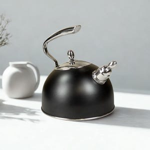 Bouilloire légère en acier inoxydable avec sifflet Bouilloire 2,5 l avec poignée de style moderne