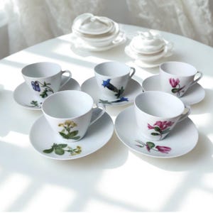 Vintage Schumann Arzberg Espresso Cups & Saucers: Alpine Flowers Porcelain