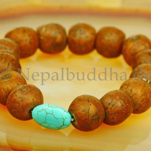 Bodhi Tolles Armband mit 14 Baum Samen s10 Bild 3