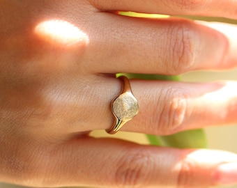 May include: A gold signet ring with a round, textured top. The ring is worn on a finger.