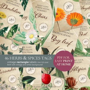 48 Apothecary labels herbs and spices printable (PDF) - Printable witchcraft sticker tags - Herbs magical properties - herb label