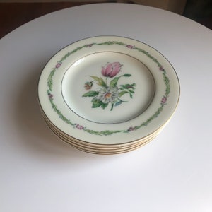 Vintage Theodore Haviland New York Garden Flower Bread and Butter Plates 6 3/8” Set of Five