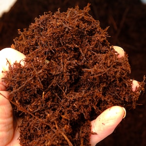 May include: A close-up of a handful of dark brown, fibrous coconut coir. The coir is a natural material used for growing plants.
