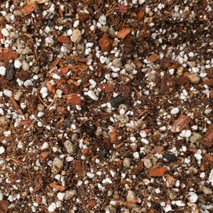 May include: A close-up view of a soil mix, showing a blend of materials. It features brown and reddish-brown bark pieces, white perlite, and small, light-coloured pebbles. The texture is coarse and granular, ideal for planting.