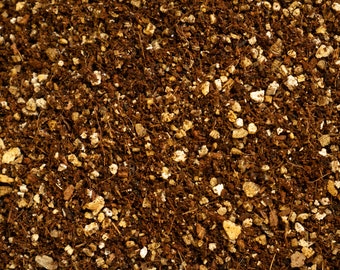 Peat Free Seed Sowing Mix for Cacti & Succulents