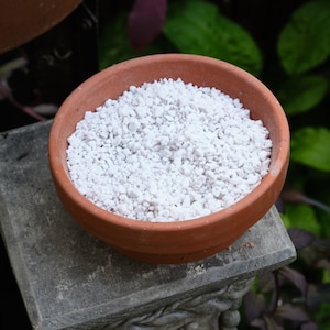 May include: A terracotta pot filled with white, small, pebble-like material. The pot is sitting on a grey, textured surface.