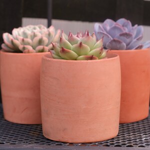 Plant Pot-Succulent Plant Pot- Terracotta Colour Jesmonite- Feels Like Terracotta- Strong- Handsome-Perfect Gift-Drainage Hole