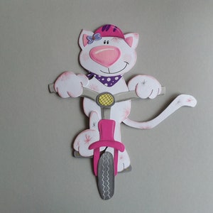 Foto de janela de gato andando de bicicleta