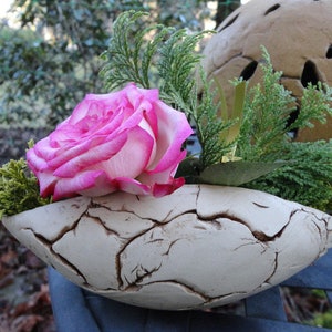 Könnte beinhalten: Ein weißer Keramiktopf mit rissiger Textur, mit einer rosa und weißen Rose und grünem Laub.