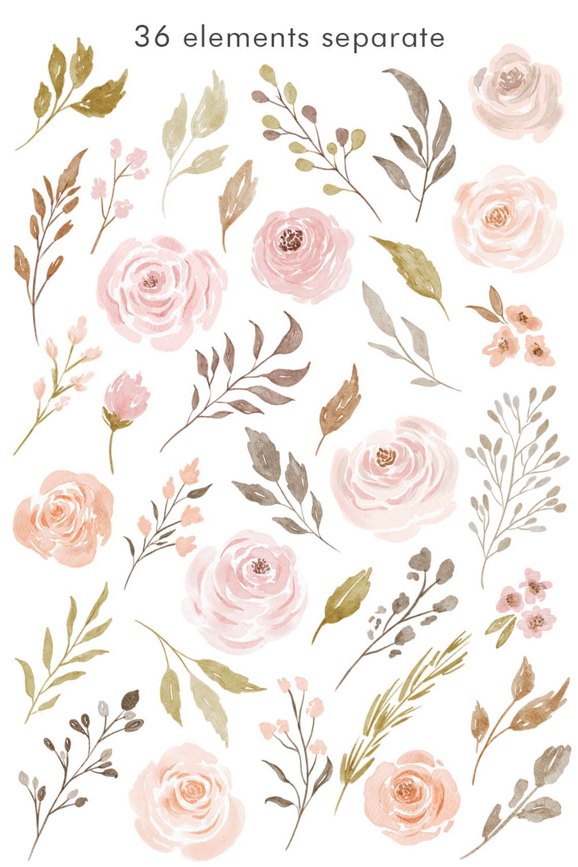 Blush flowers watercolor flowers clipart commercial use Etsy