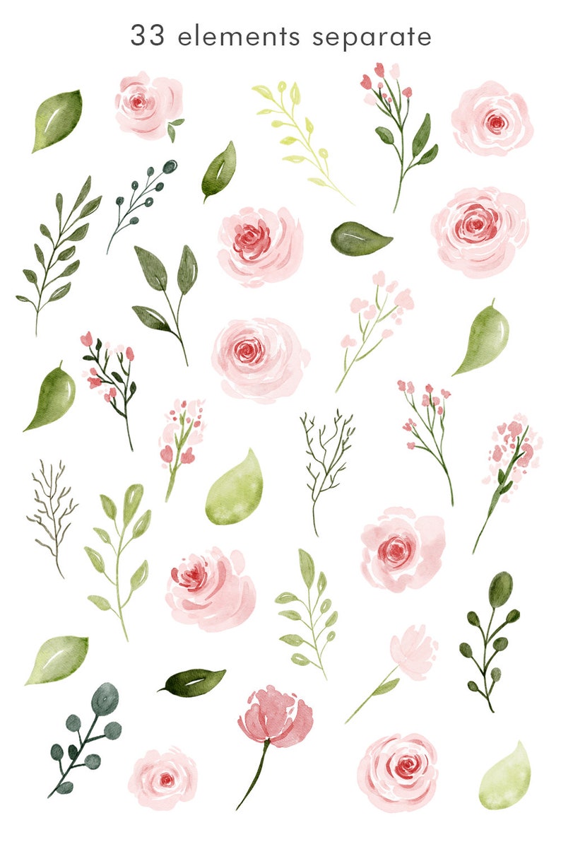 Pink Roses watercolor flowers clipart commercial use floral | Etsy