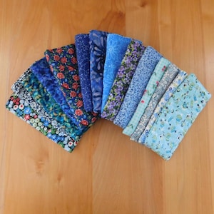 Floral Padded Eyeglasses Case: Quilted Cotton Glasses Sleeve