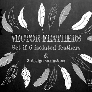 May include: A set of six white vector feathers in three different design variations. The feathers are isolated on a black chalkboard background. The text "VECTOR FEATHERS" and "Set if 6 isolated feathers & 3 design variations" is written in white chalk on the chalkboard.