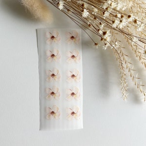 Könnte beinhalten: Ein Blatt durchsichtiges Klebepapier mit 12 Aquarell-Blumenaufklebern. Die Blumen sind hellrosa mit braunen Zentren.