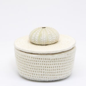 Sage Green Urchin